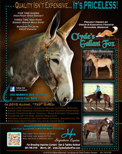 Mules & More Ad